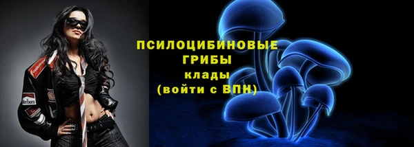 ECSTASY Балахна
