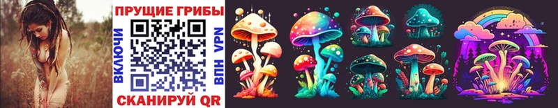 Галлюциногенные грибы MAGIC MUSHROOMS  хочу наркоту  гидра ссылки  Белёв 